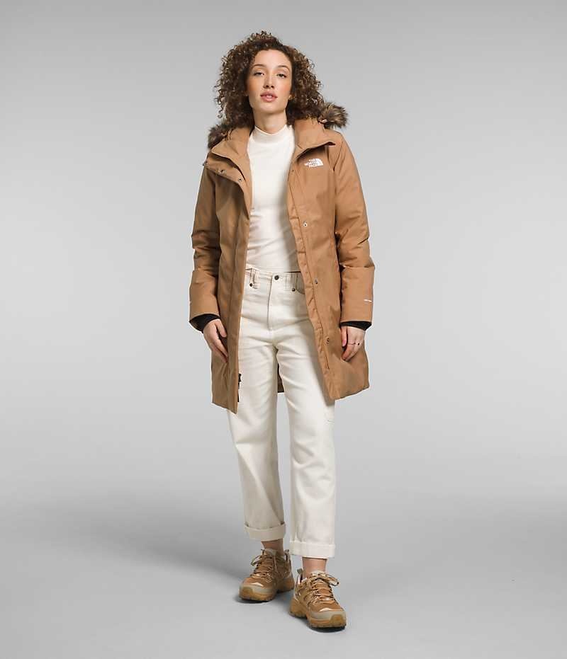 Parka The North Face Arctic Femme Marron | PARIS NSDYI