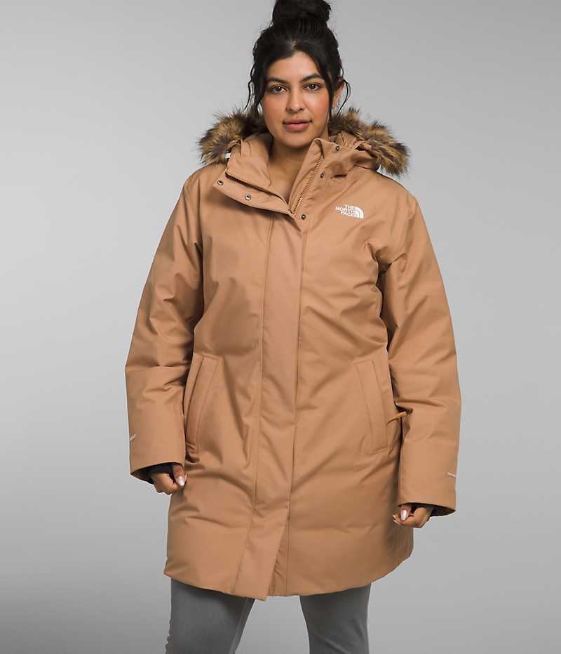 Parka The North Face Plus Arctic Femme Marron | FR VEHYZ