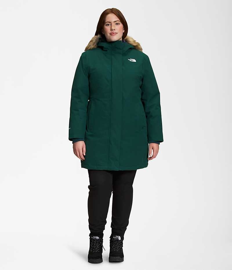 Parka The North Face Plus Arctic Femme Vert | FRANCE YAXSG