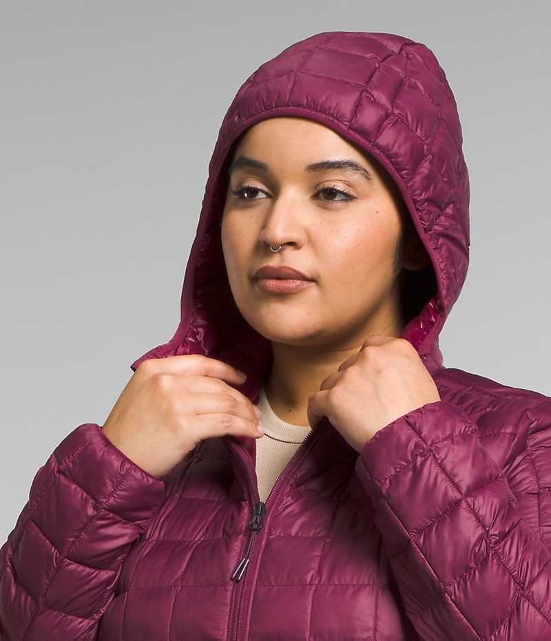 Parka The North Face Plus ThermoBall™ Eco Femme Rouge | PARIS YGDVX