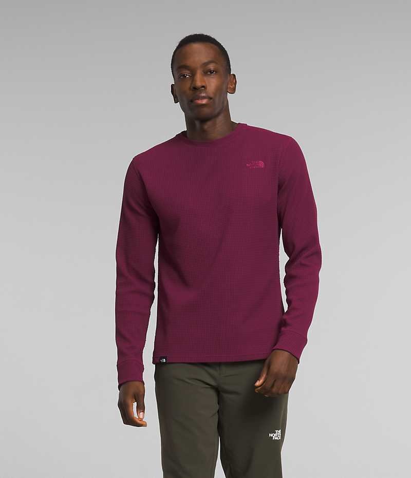 Pulls De Golf The North Face Canyon Fog Thermal Long Sleeve Homme Fushia | FRANCE JIFNQ