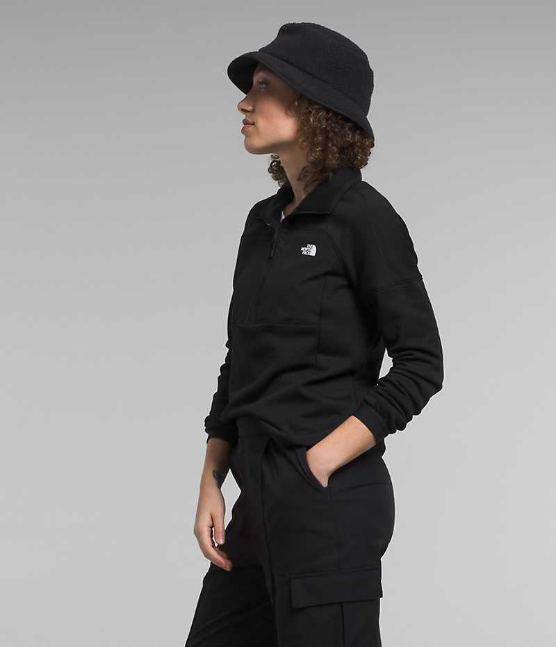 Sweatshirt The North Face Canyonlands High Altitude ½-Zip Femme Noir | FRANCE DVXKR