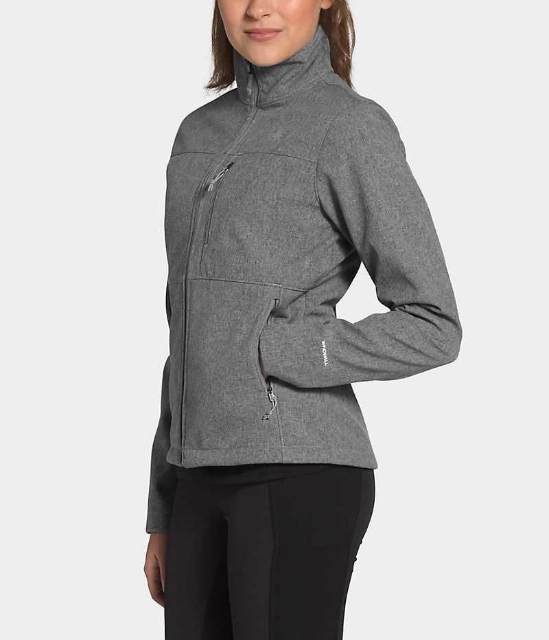 Veste Softshell The North Face Apex Bionic Femme Grise | PARIS QWBVU