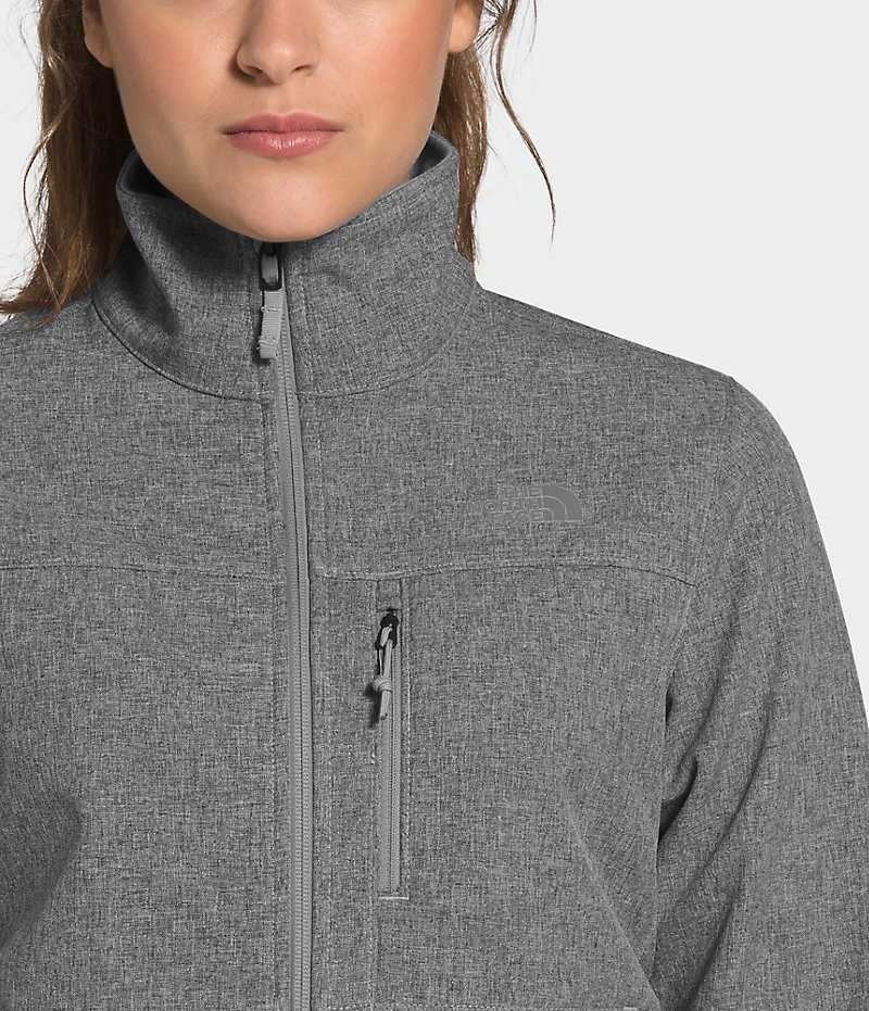 Veste Softshell The North Face Apex Bionic Femme Grise | PARIS QWBVU