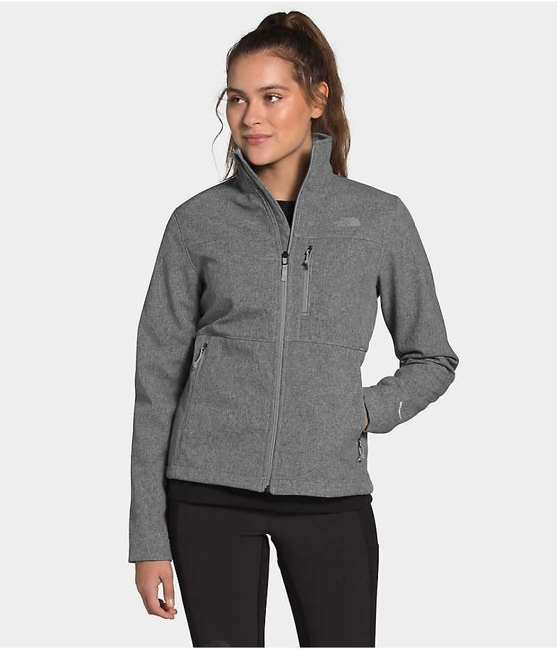 Veste Softshell The North Face Apex Bionic Femme Grise | PARIS QWBVU