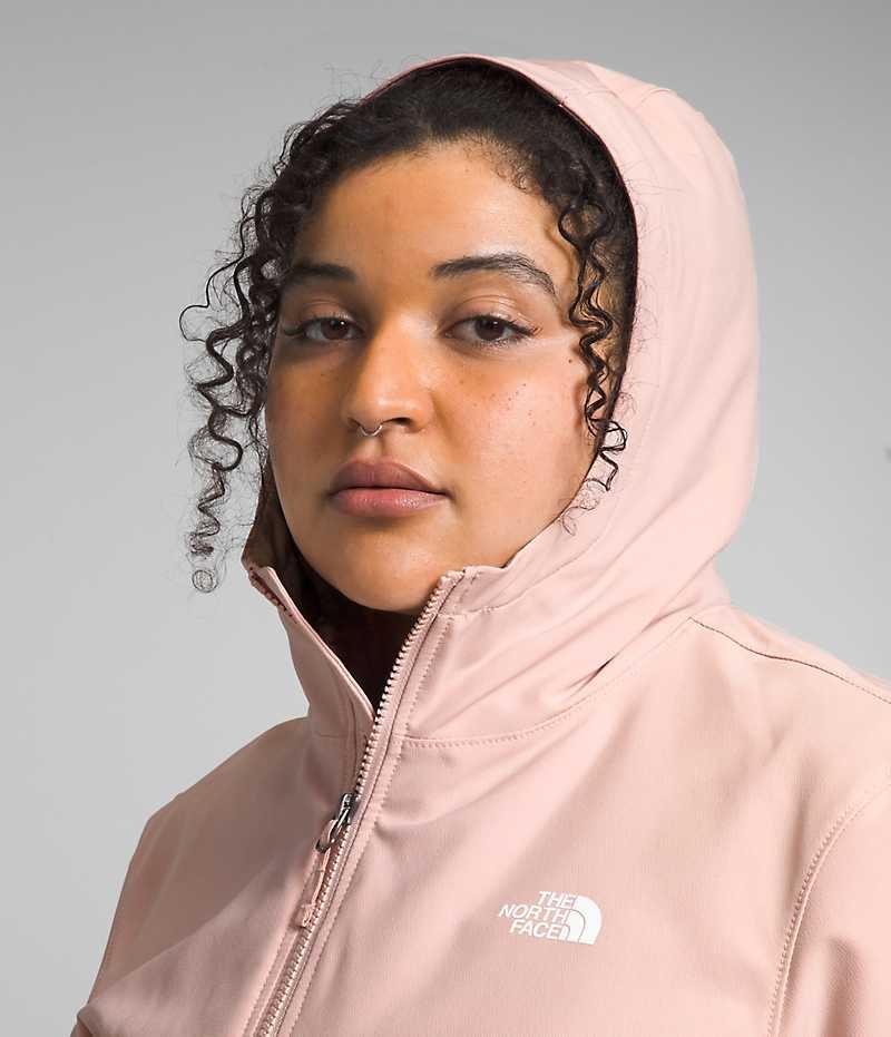 Veste Softshell The North Face Plus Shelbe Raschel Hoodie Femme Rose | FRANCE UJGSA