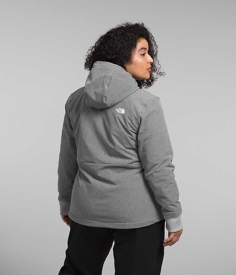 Veste Softshell The North Face Plus Shelbe Raschel Hoodie Femme Grise | PARIS PSFOM