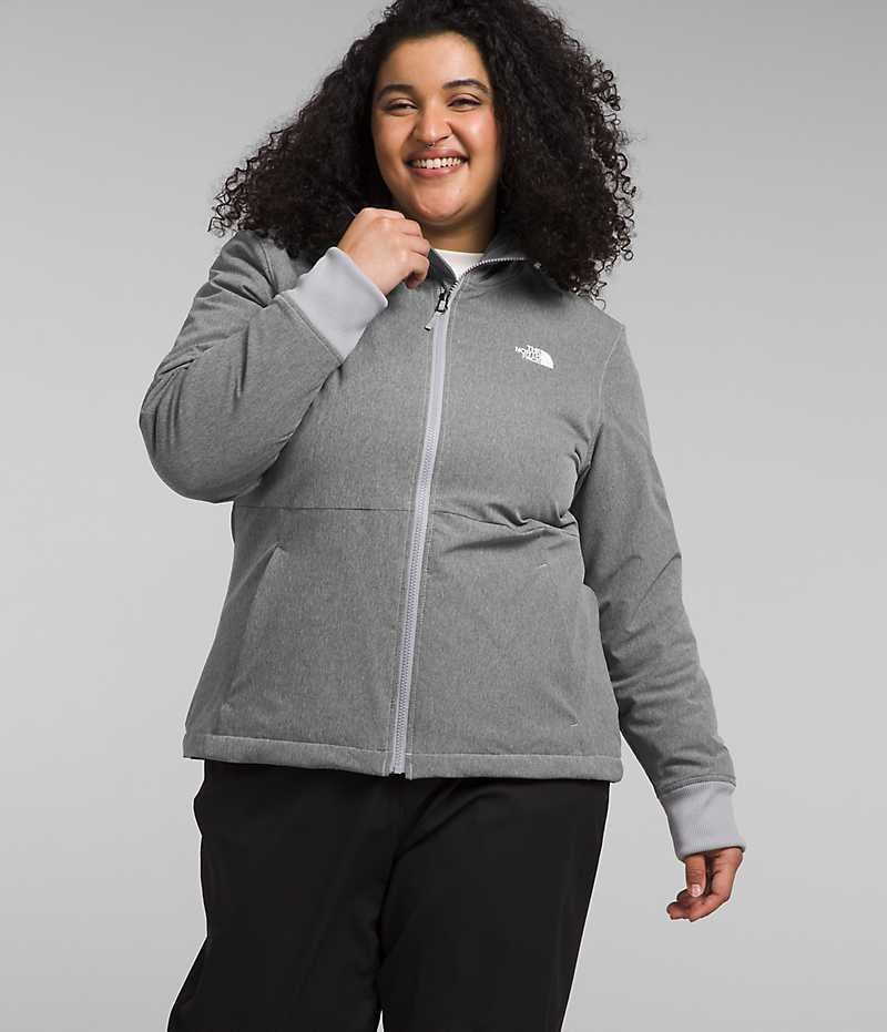 Veste Softshell The North Face Plus Shelbe Raschel Hoodie Femme Grise | PARIS PSFOM