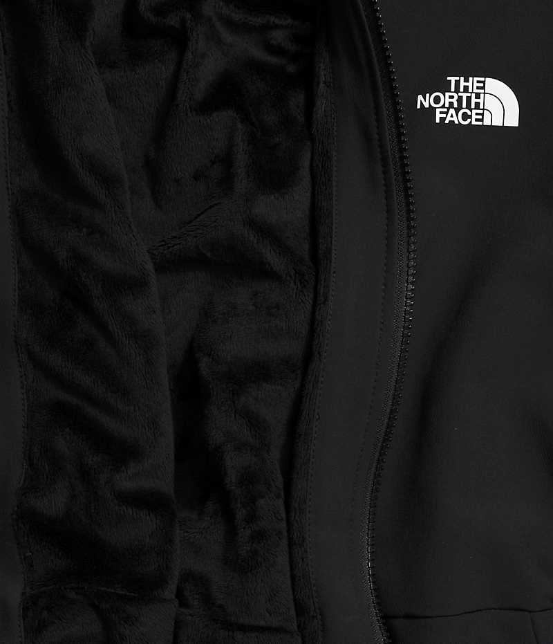 Veste Softshell The North Face Plus Shelbe Raschel Hoodie Femme Noir | FR OITYB