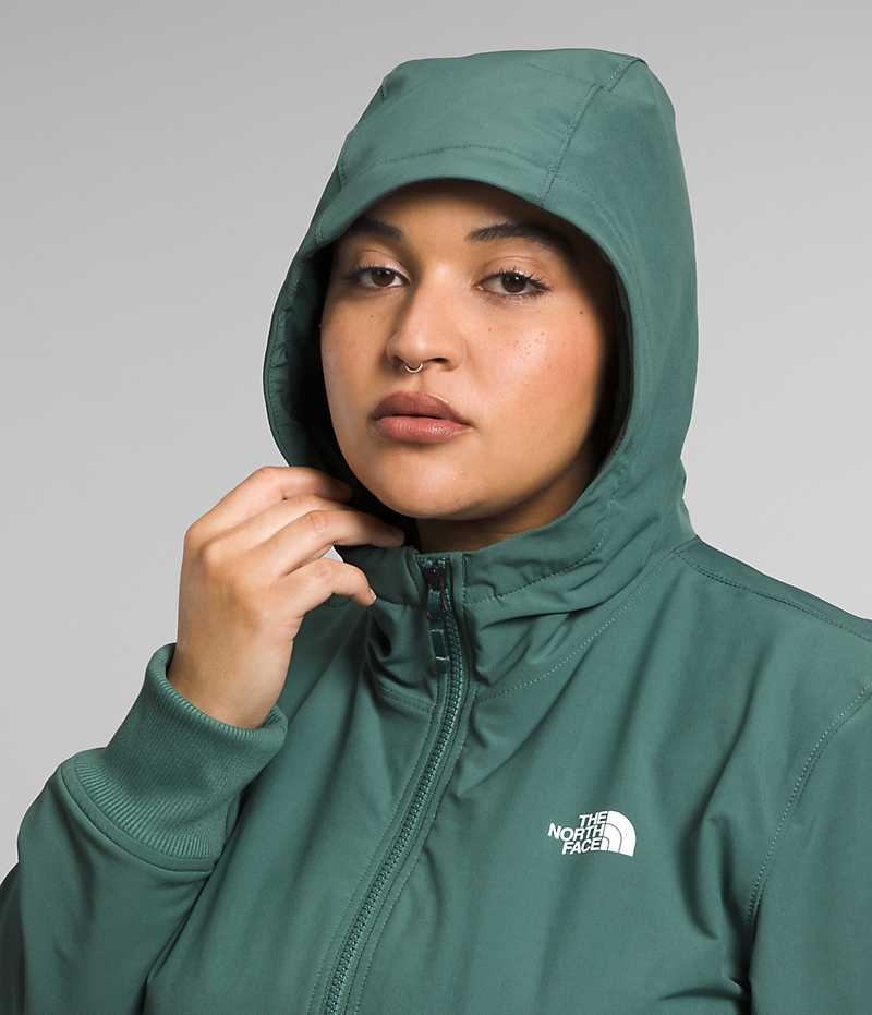 Veste Softshell The North Face Plus Shelbe Raschel Hoodie Femme Vert | FRANCE GKOJN