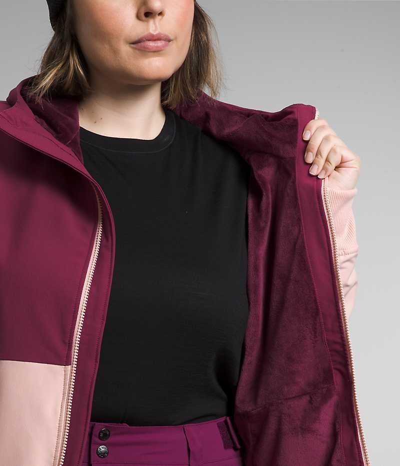 Veste Softshell The North Face Plus Shelbe Raschel Hoodie Femme Rose | PARIS MSGCU