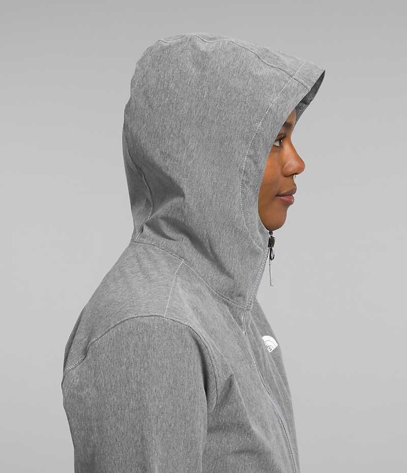 Veste Softshell The North Face Shelbe Raschel Hoodie Femme Grise | FR XLRTQ