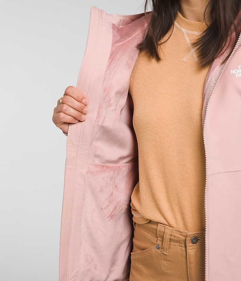 Veste Softshell The North Face Shelbe Raschel Hoodie Femme Rose | FRANCE VHYSM