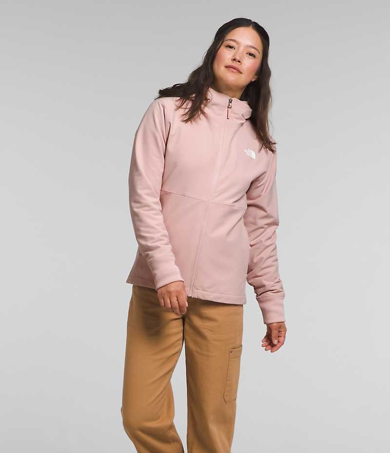 Veste Softshell The North Face Shelbe Raschel Hoodie Femme Rose | FRANCE VHYSM