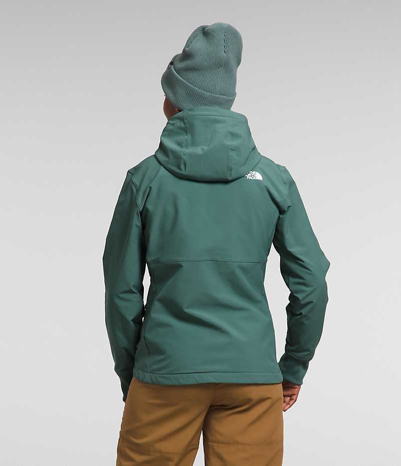 Veste Softshell The North Face Shelbe Raschel Hoodie Femme Vert | PARIS RKQHF