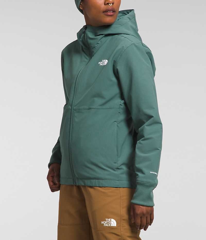 Veste Softshell The North Face Shelbe Raschel Hoodie Femme Vert | PARIS RKQHF