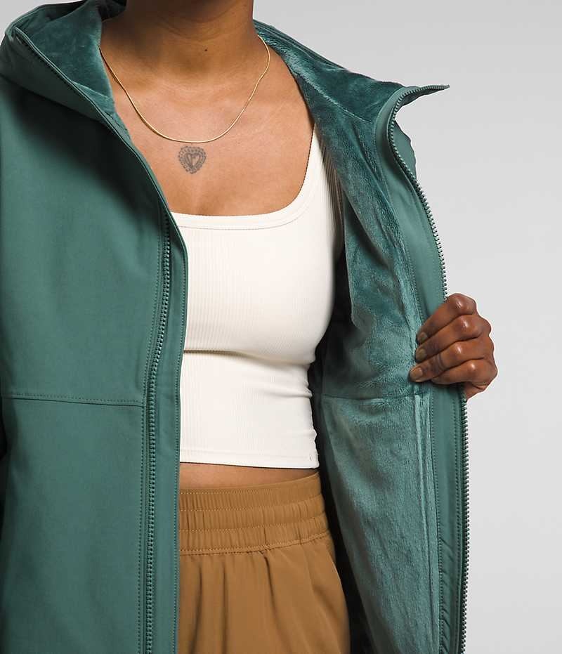 Veste Softshell The North Face Shelbe Raschel Hoodie Femme Vert | PARIS RKQHF