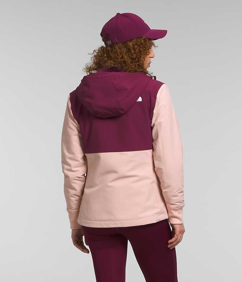 Veste Softshell The North Face Shelbe Raschel Hoodie Femme Rose | PARIS DCNOW