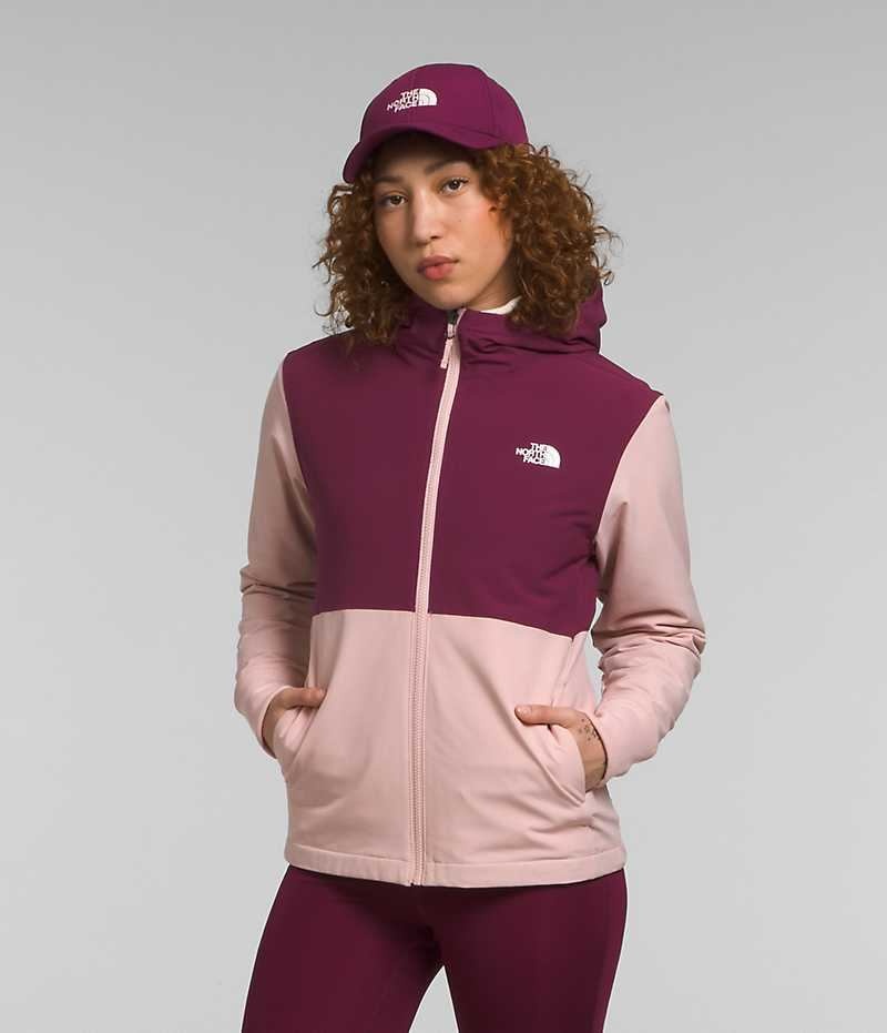 Veste Softshell The North Face Shelbe Raschel Hoodie Femme Rose | PARIS DCNOW