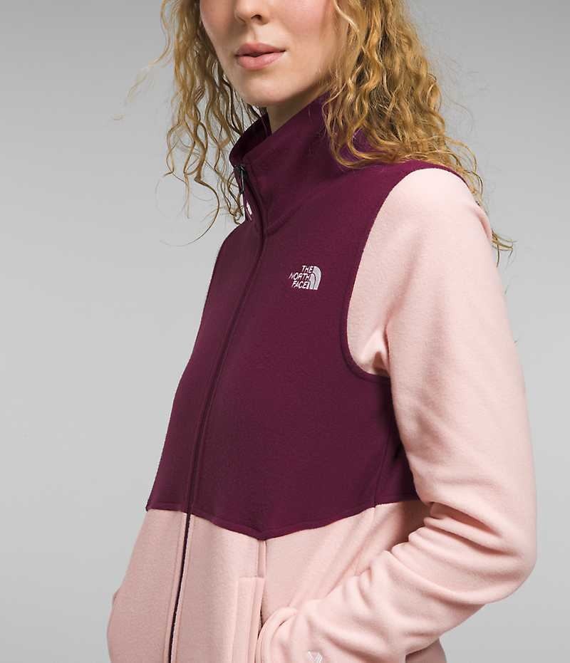 Vestes Polaires The North Face Alpine Polartec® 100 Femme Rose | FR RICBN