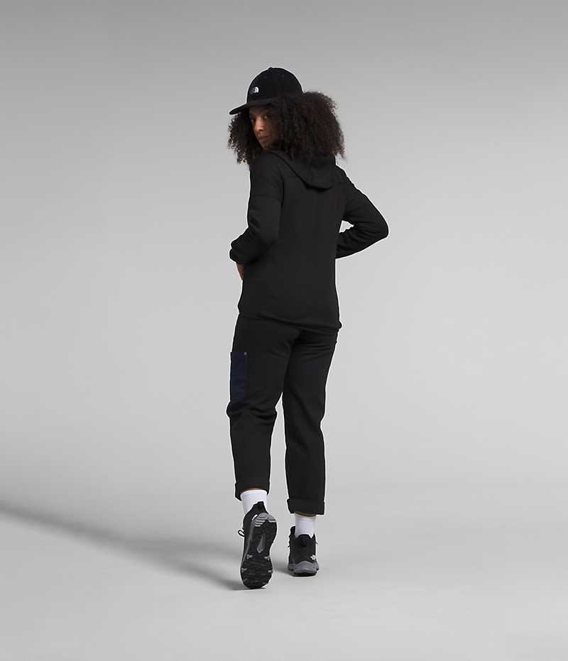 Vestes Polaires The North Face Canyonlands High Altitude Hoodie Femme Noir | FR UMYPK