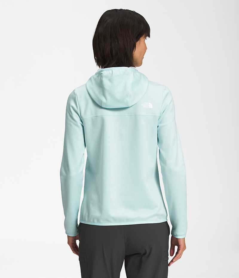 Vestes Polaires The North Face Canyonlands Hoodie Femme Bleu Clair | PARIS IGKER