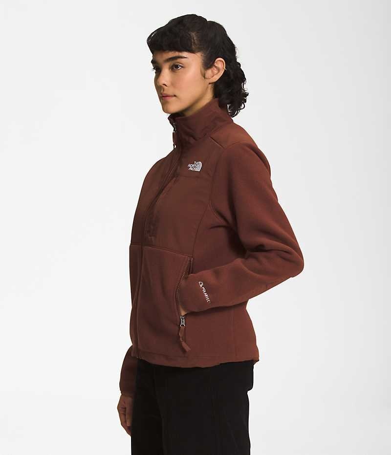 Vestes Polaires The North Face Denali Femme Marron | FR MDRQI