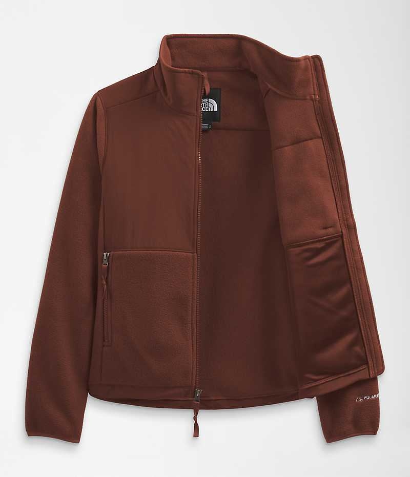 Vestes Polaires The North Face Denali Femme Marron | FR MDRQI