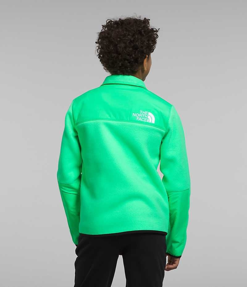 Vestes Polaires The North Face Denali Garcon Vert | FRANCE OBGZJ