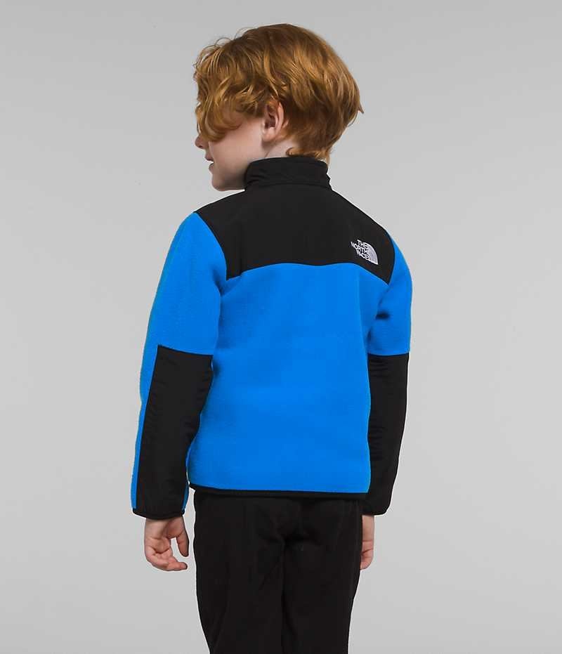 Vestes Polaires The North Face Denali Garcon Bleu | FRANCE YUCJX