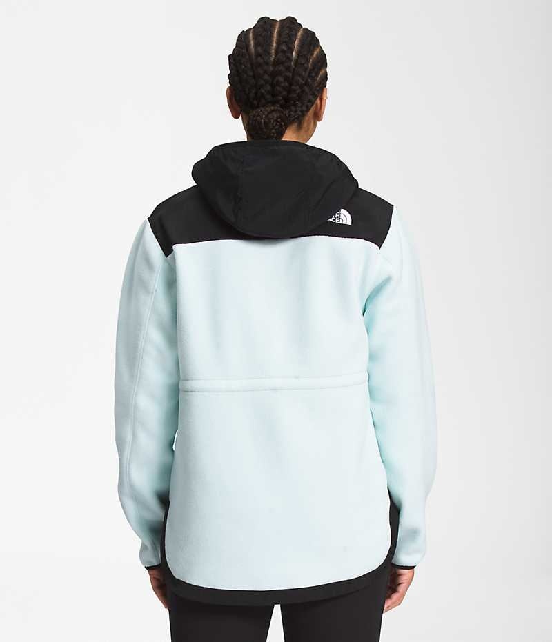 Vestes Polaires The North Face Denali Hoodie Femme Noir Turquoise | PARIS HJLGK