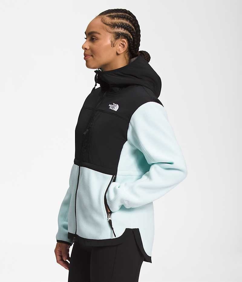 Vestes Polaires The North Face Denali Hoodie Femme Noir Turquoise | PARIS HJLGK