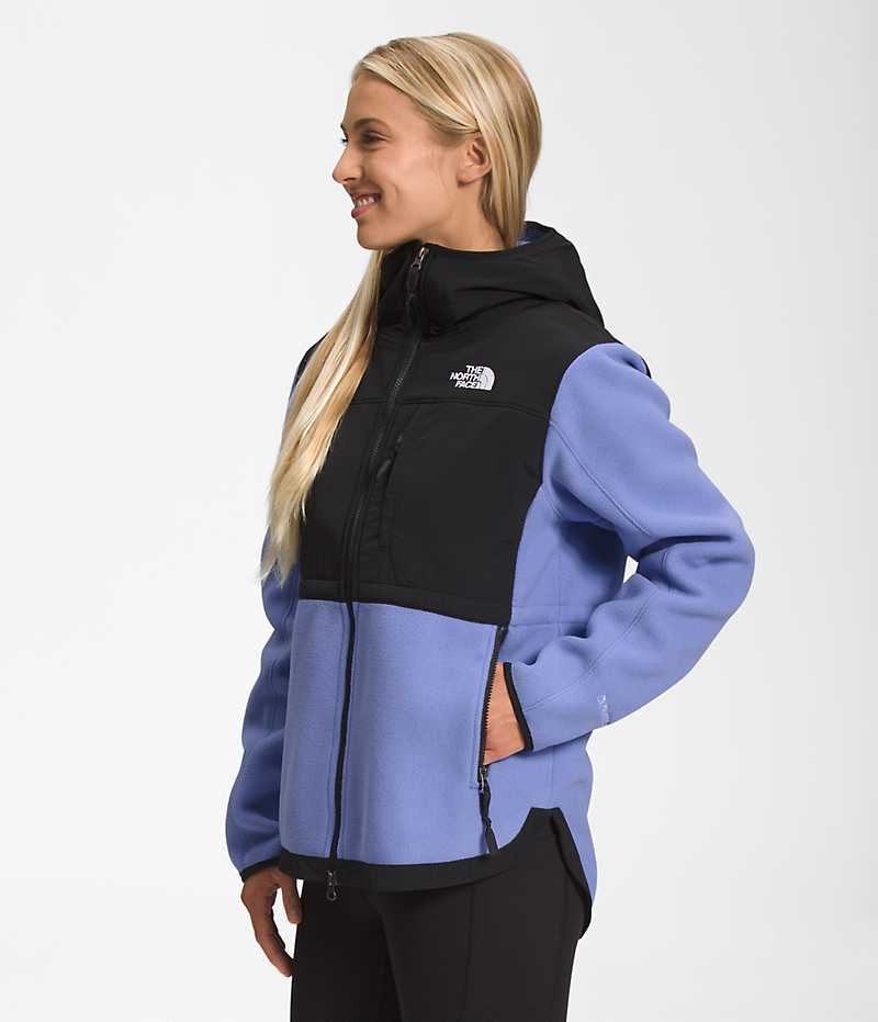 Vestes Polaires The North Face Denali Hoodie Femme Noir Bleu | FR VWSTE