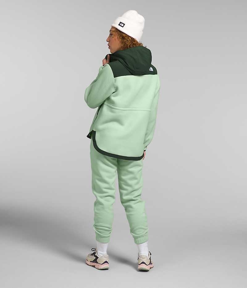 Vestes Polaires The North Face Denali Hoodie Femme Vert | PARIS JNZCF