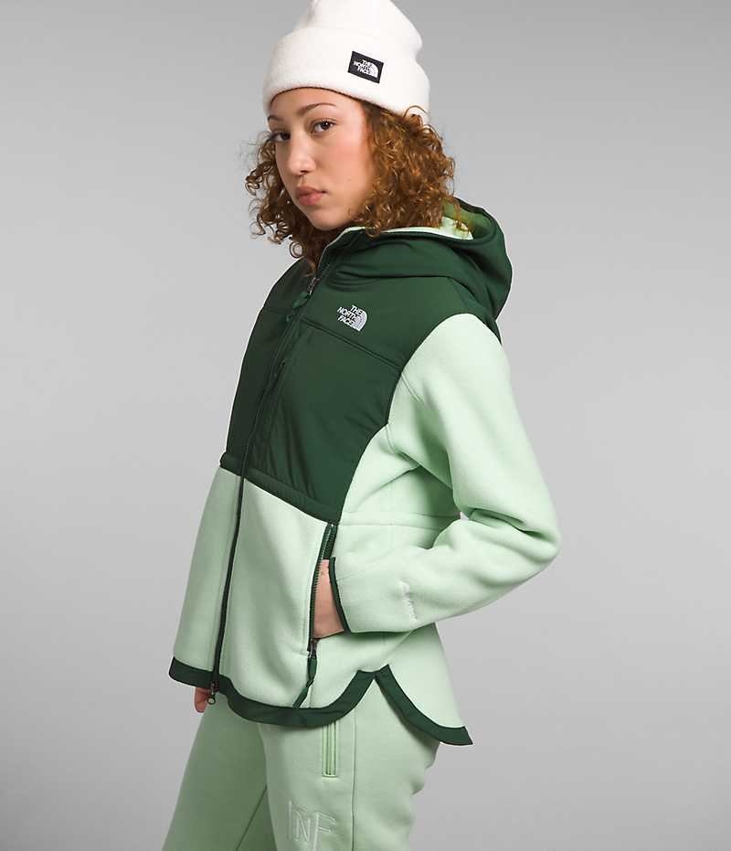 Vestes Polaires The North Face Denali Hoodie Femme Vert | PARIS JNZCF