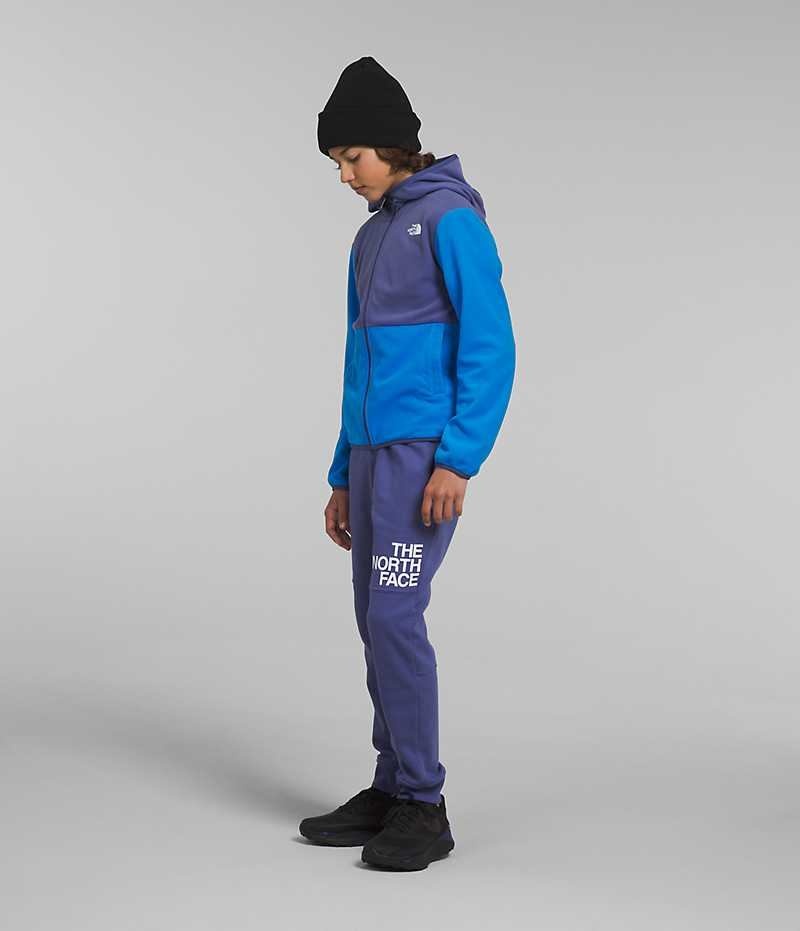 Vestes Polaires The North Face Glacier Full-Zip Encapuchonné Garcon Bleu | FRANCE AIBHZ