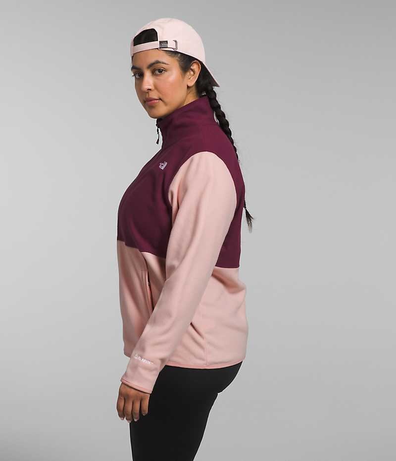 Vestes Polaires The North Face Plus Alpine Polartec® 100 Femme Rose | FR ZHMCU